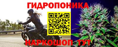 apvp Керчь