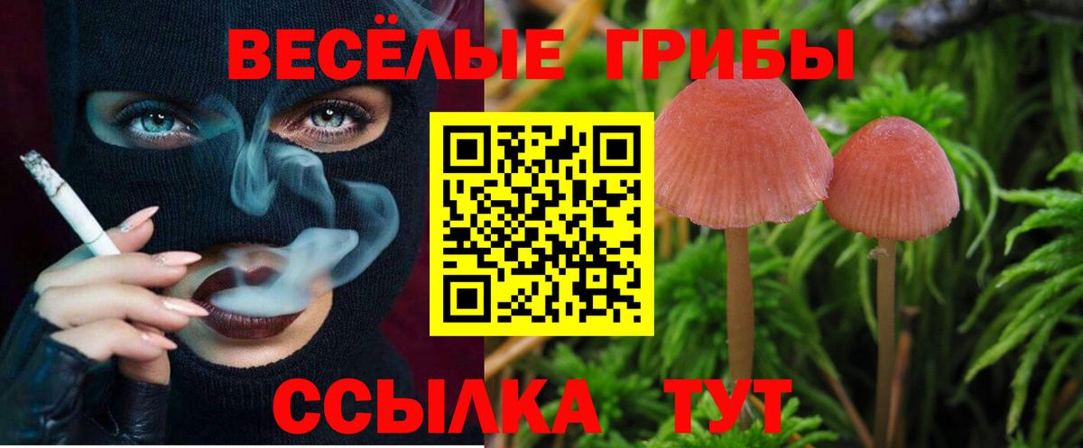 Белгород  Псилоцибиновые грибы прущие грибы  Вход с VPN 